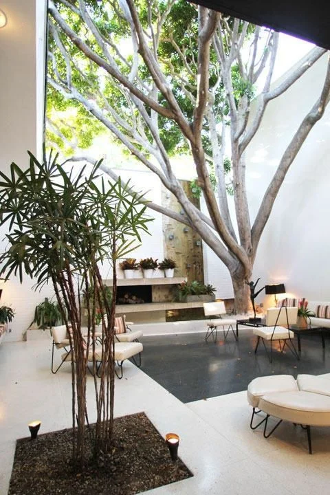 outsidein2.jpg