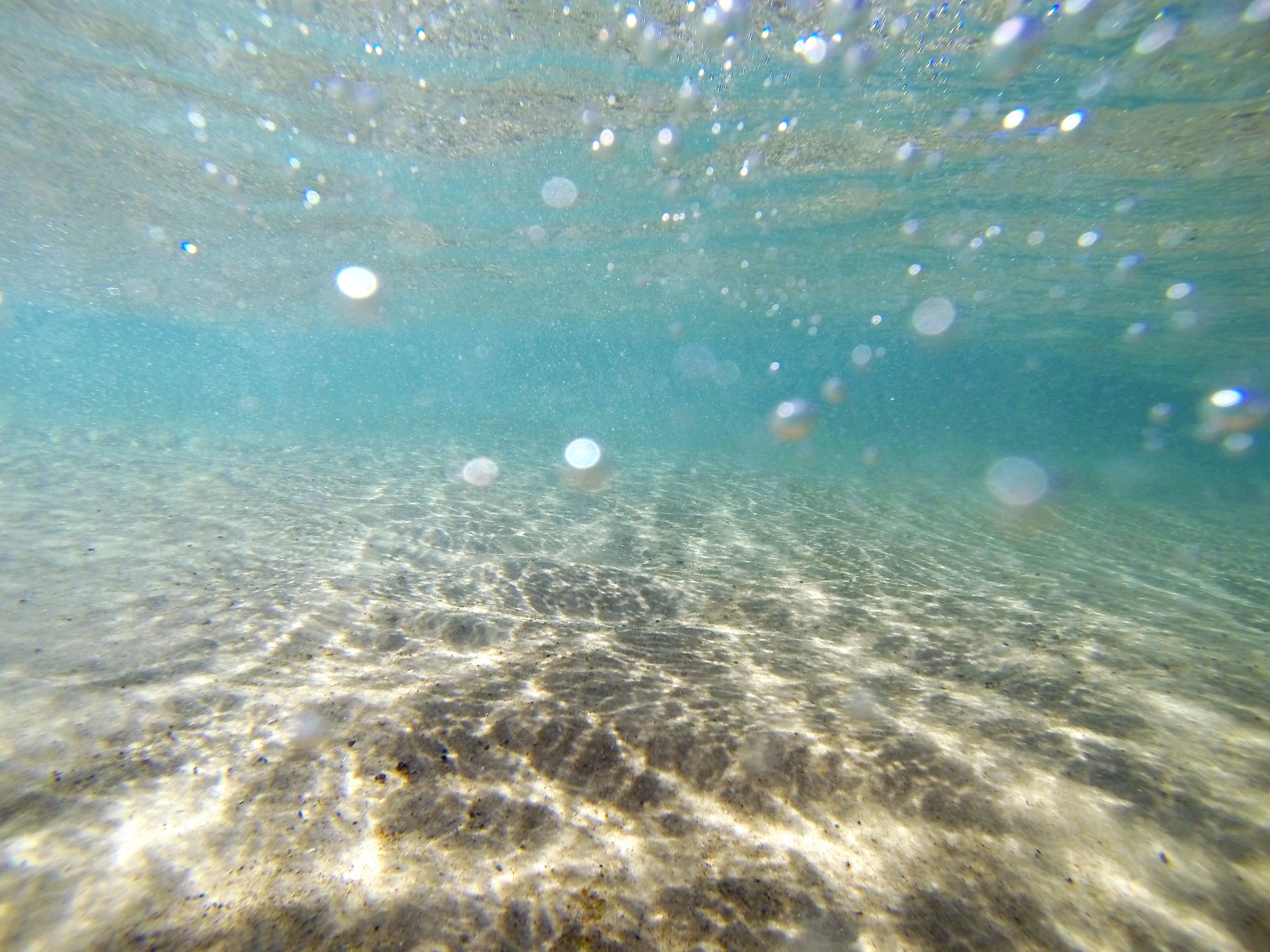 Fingal Head, NSW, Australia 2014