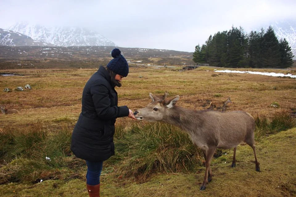 Glen Coe, Scottish Highlands 2015