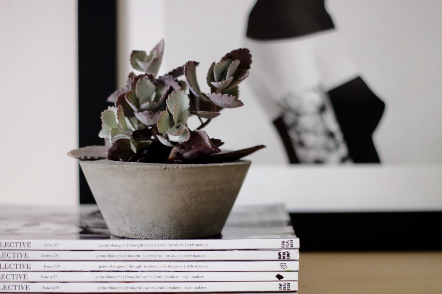Product Photography & Styling Concrete Planters - BAYKO Homewares