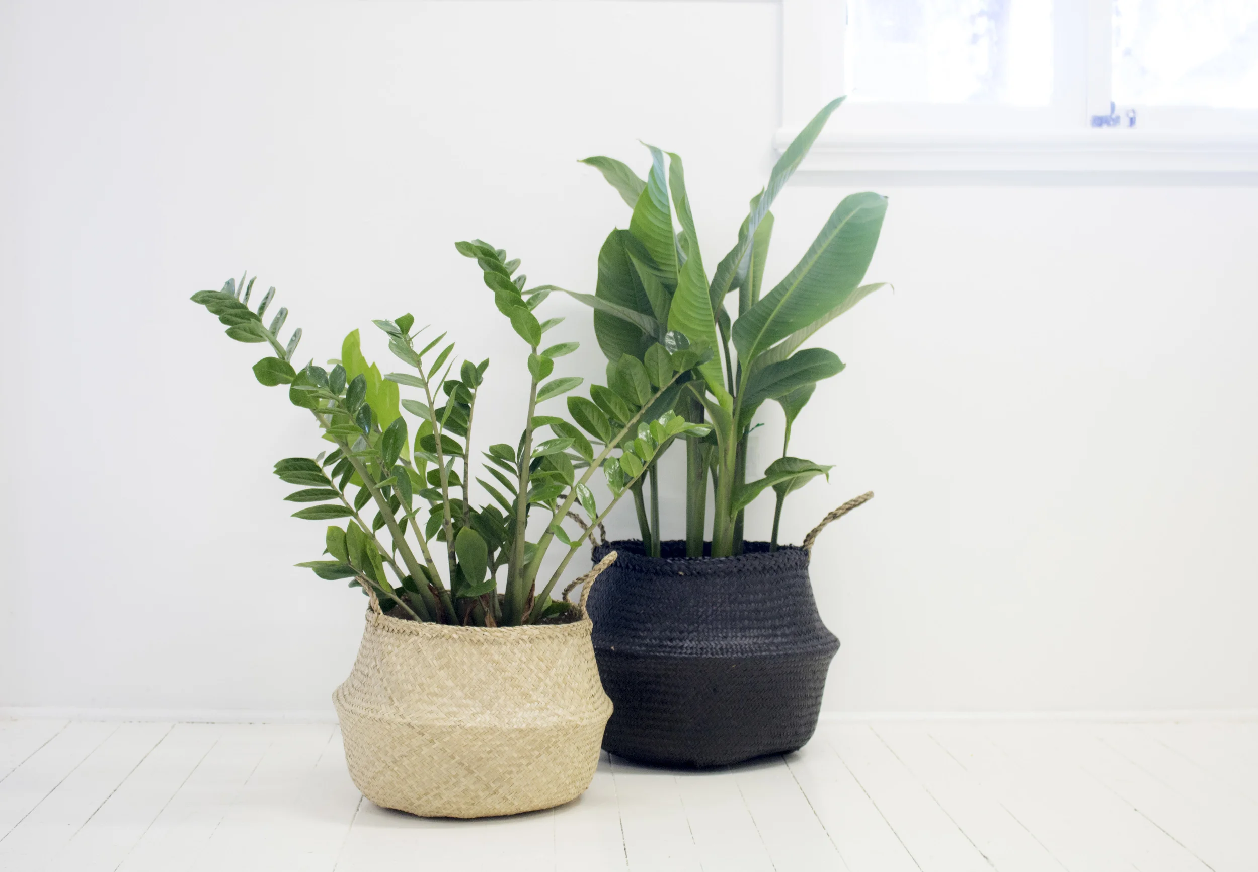 Product Photography & Styling Seagrass belly Baskets - Bayko Homewares