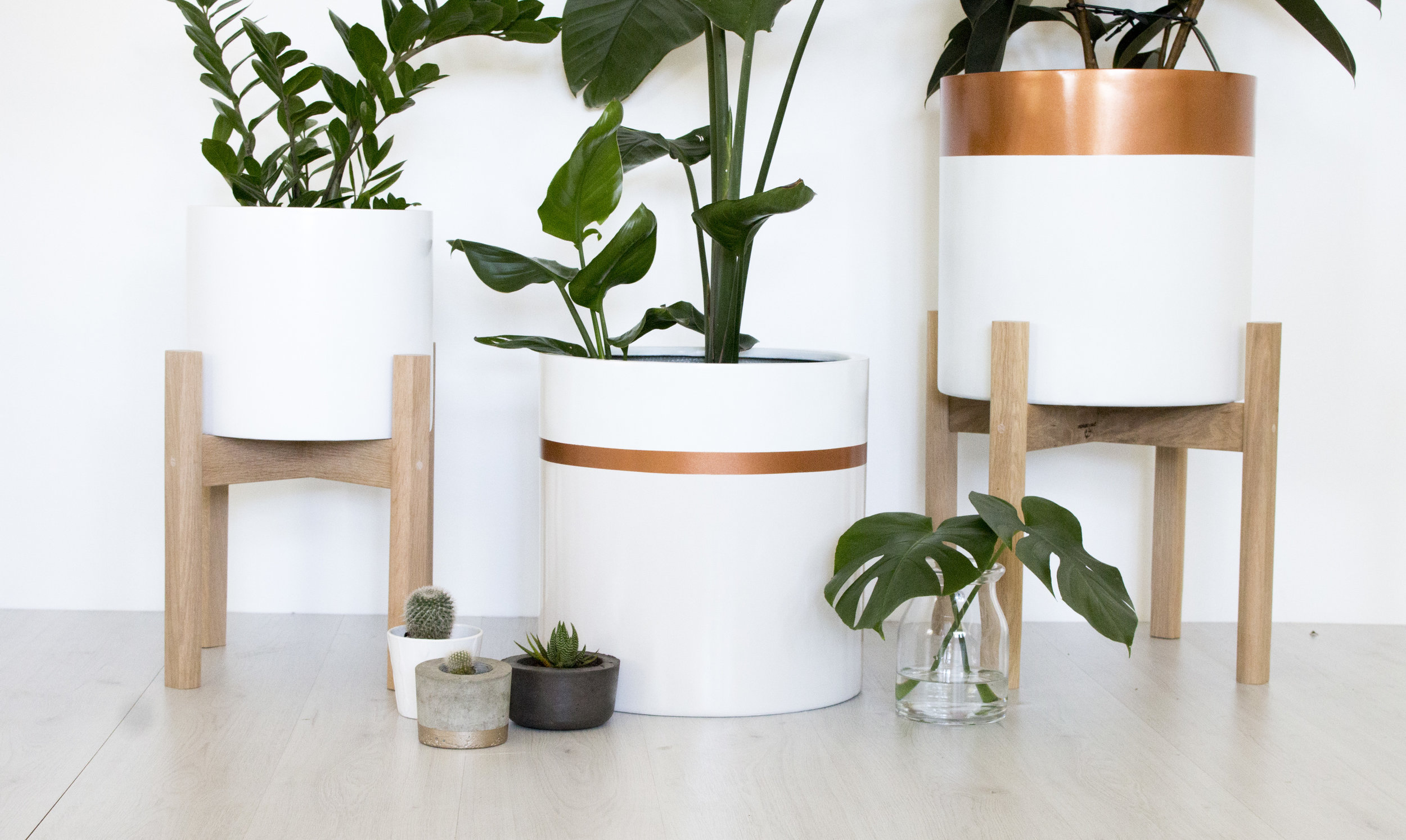 Product Photography & Styling Pot - Modern Muse Home