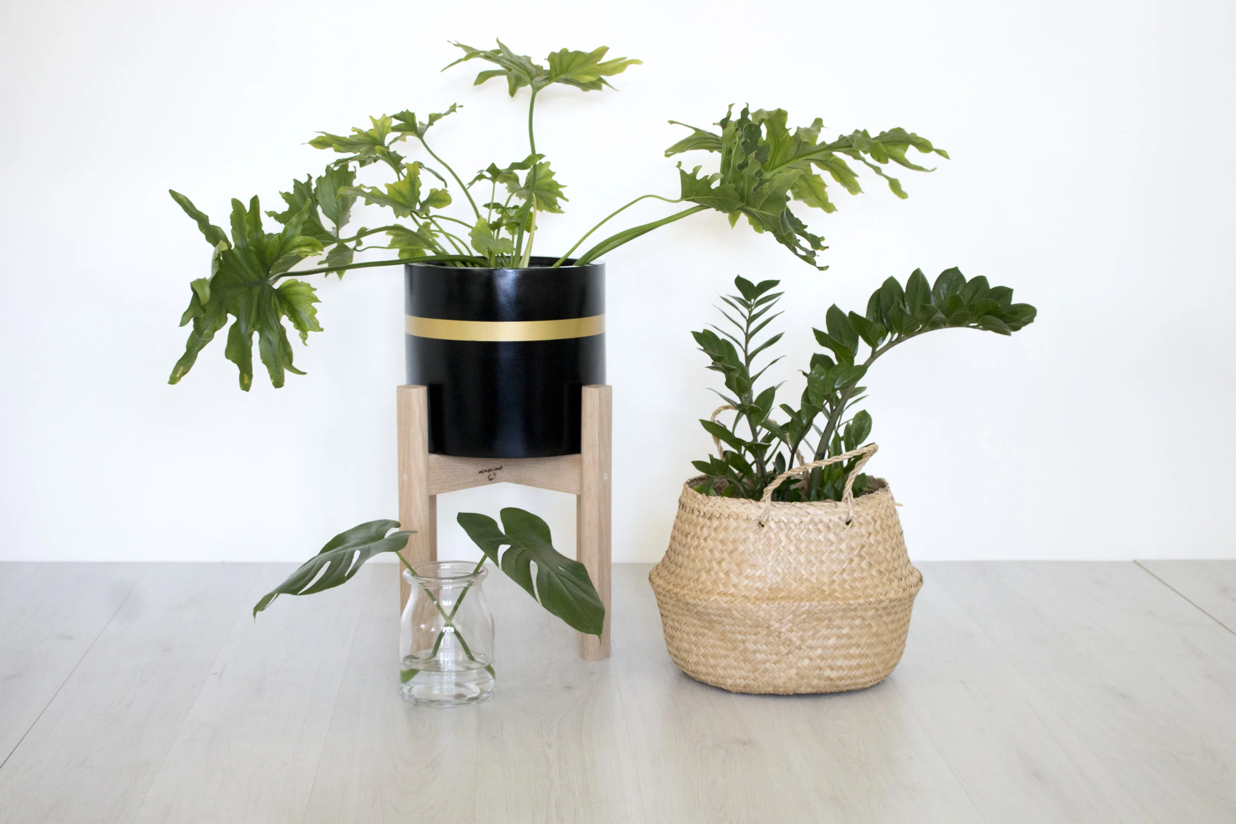 Product Photography & Styling Pot - Modern Muse Home