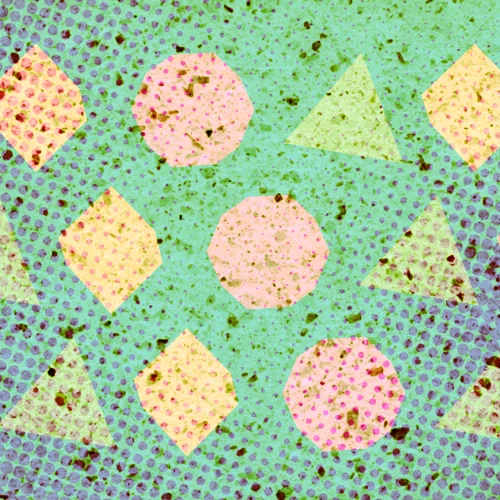 Plutonic Solids