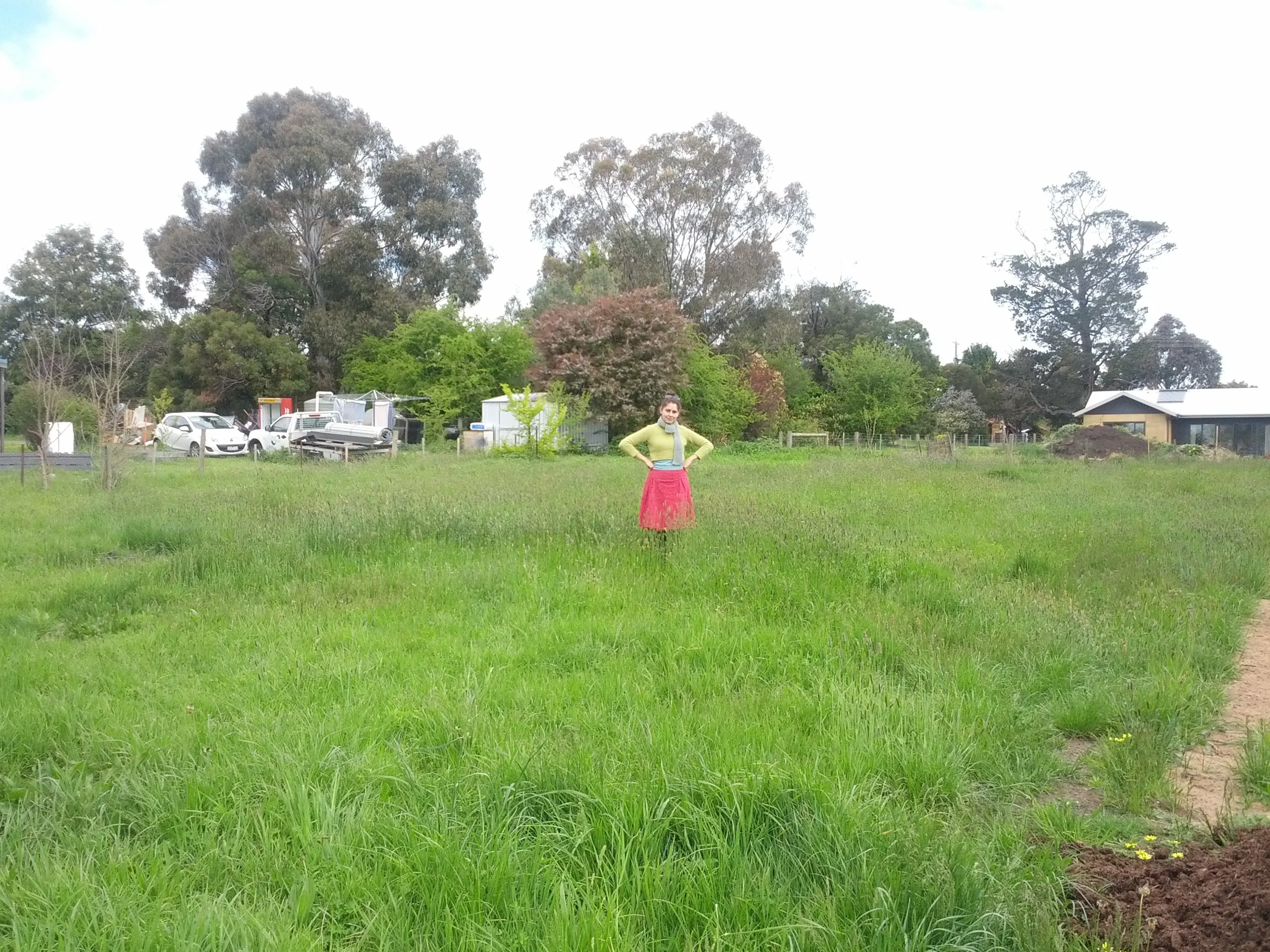 Long grass.jpg