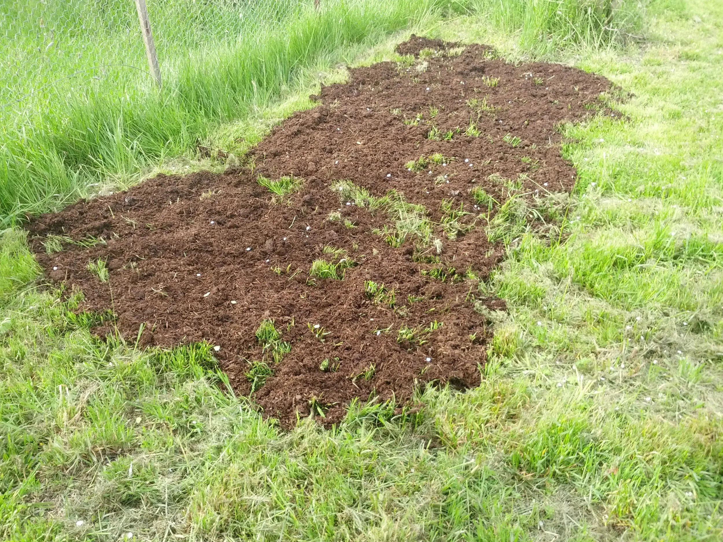 Mushroom compost.jpg