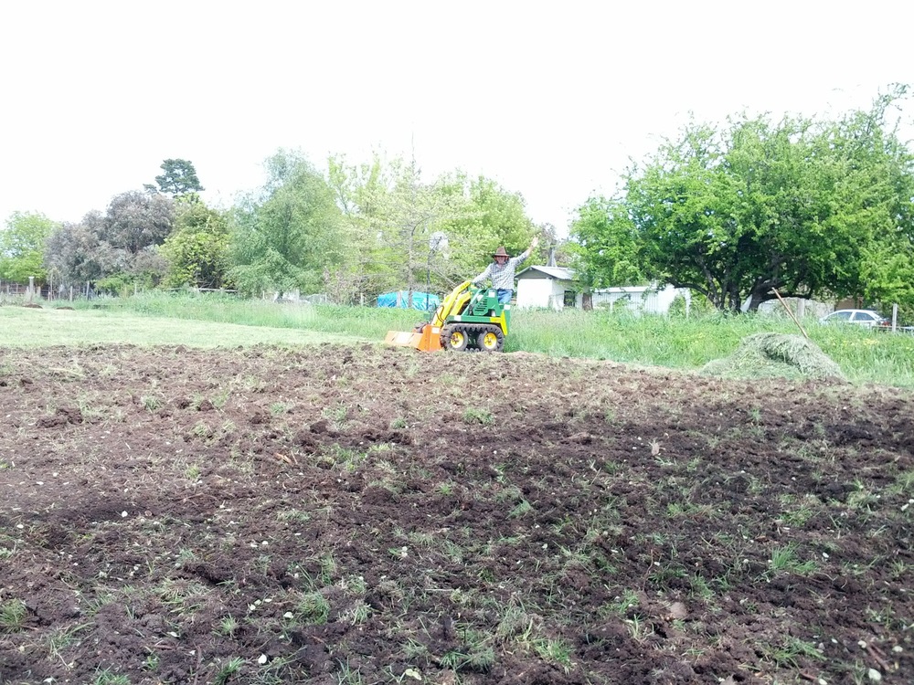 Steve on the rotary hoe