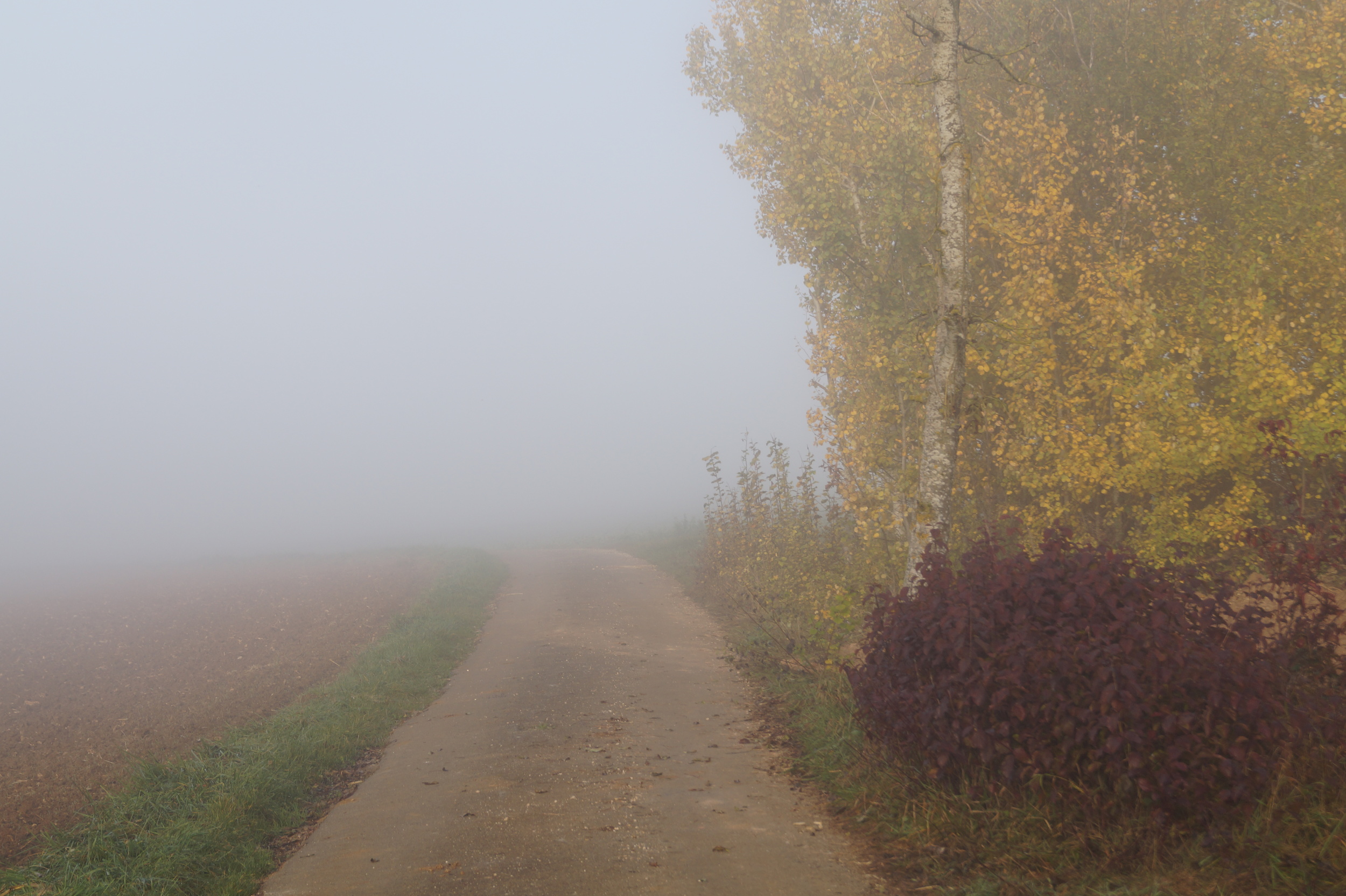 DSC01780.JPG
