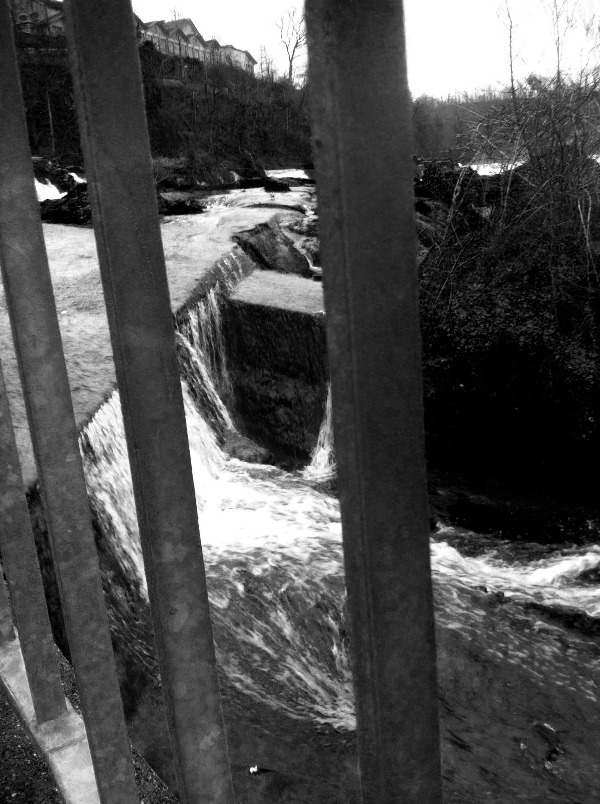 bild5.jpg