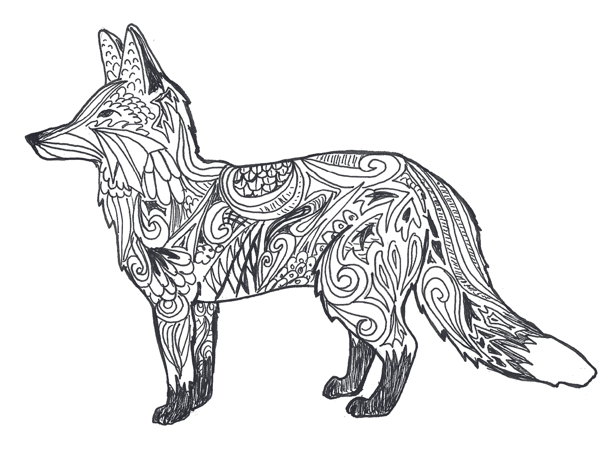fuchs.jpg