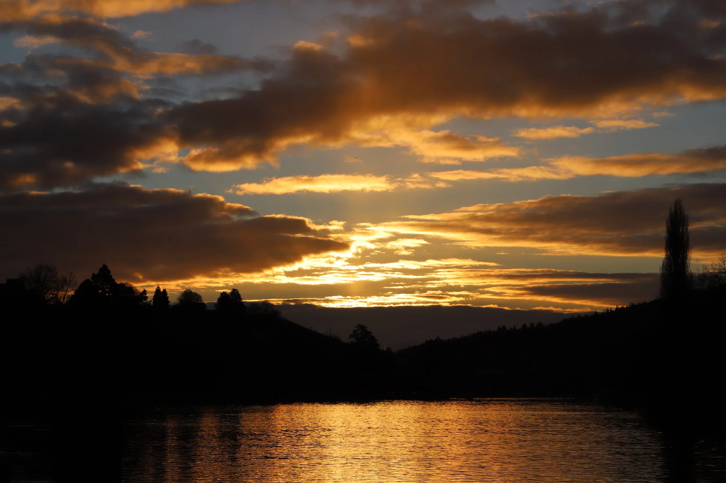 IMG_8893 Kopie 2.JPG