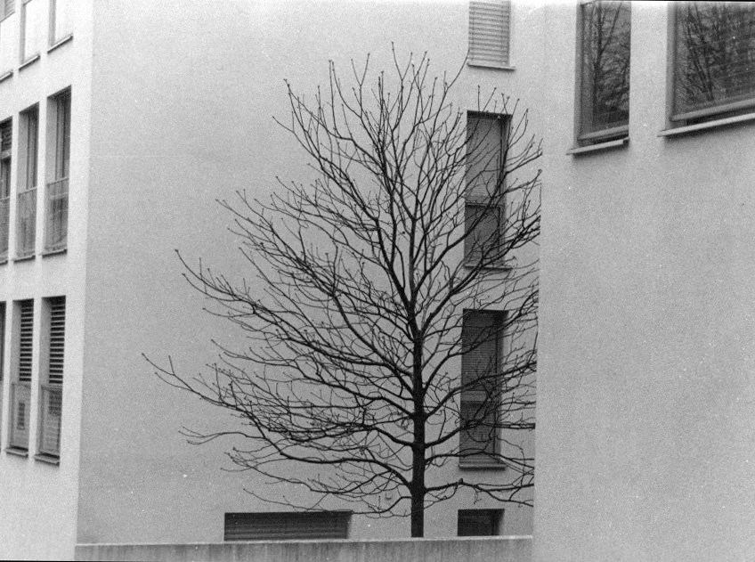 Scan 2 Kopie.jpg