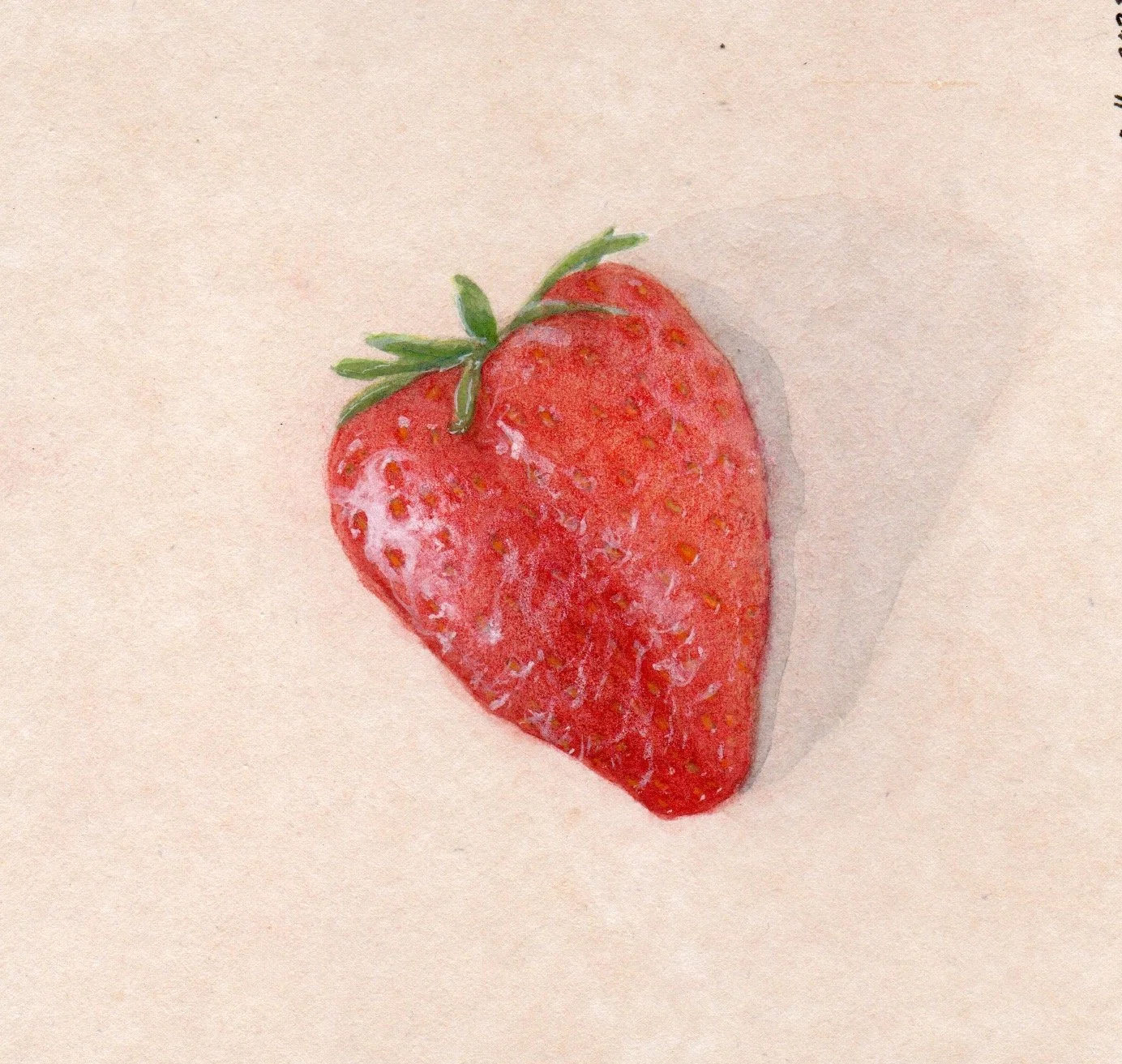 Erdbeere.jpeg