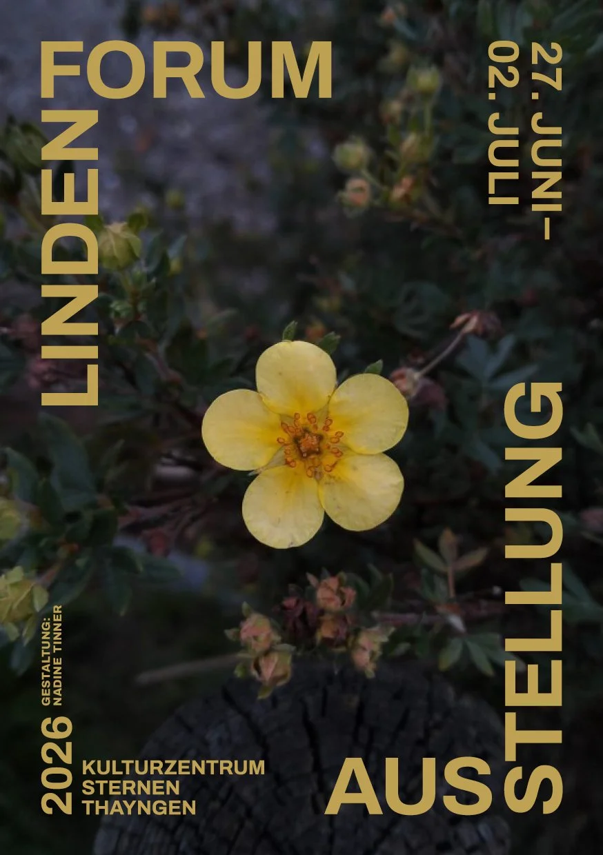 _flyer_sternen_Nadine.JPG