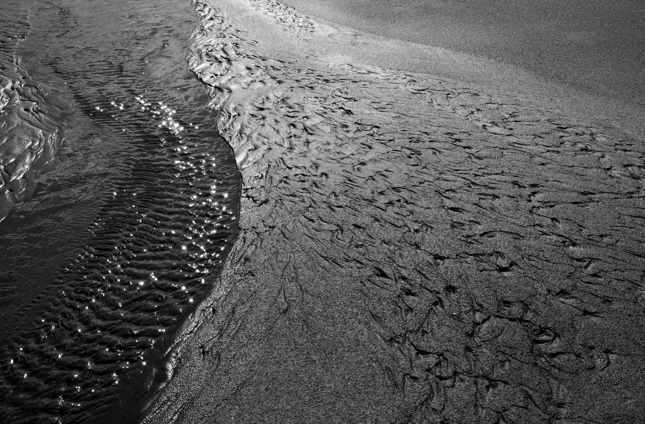CAT_8693 patterns in sand bw.jpg