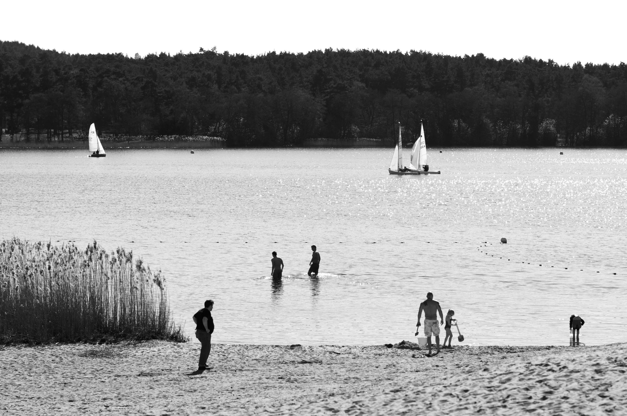 Frensham-Ponds_beach-life-2.jpg