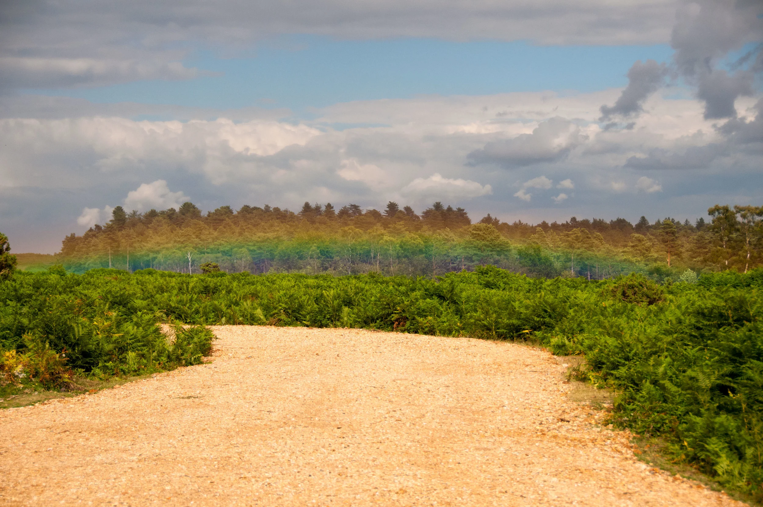 New-forest-low-res-rainbow.jpg