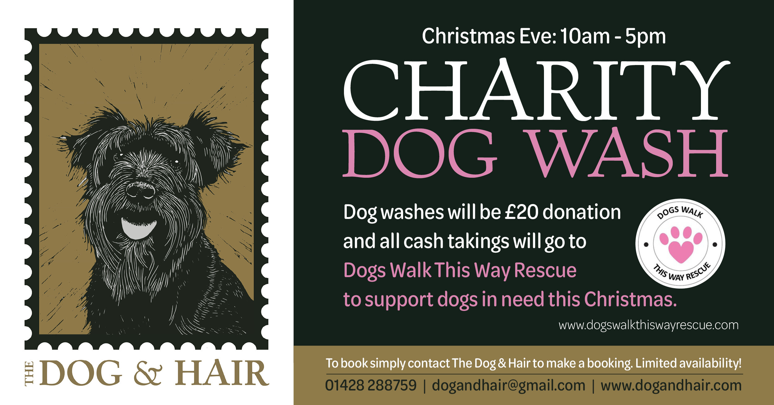 The Dog & Hair_Charity dog wash Facebook post_Dec19.jpg