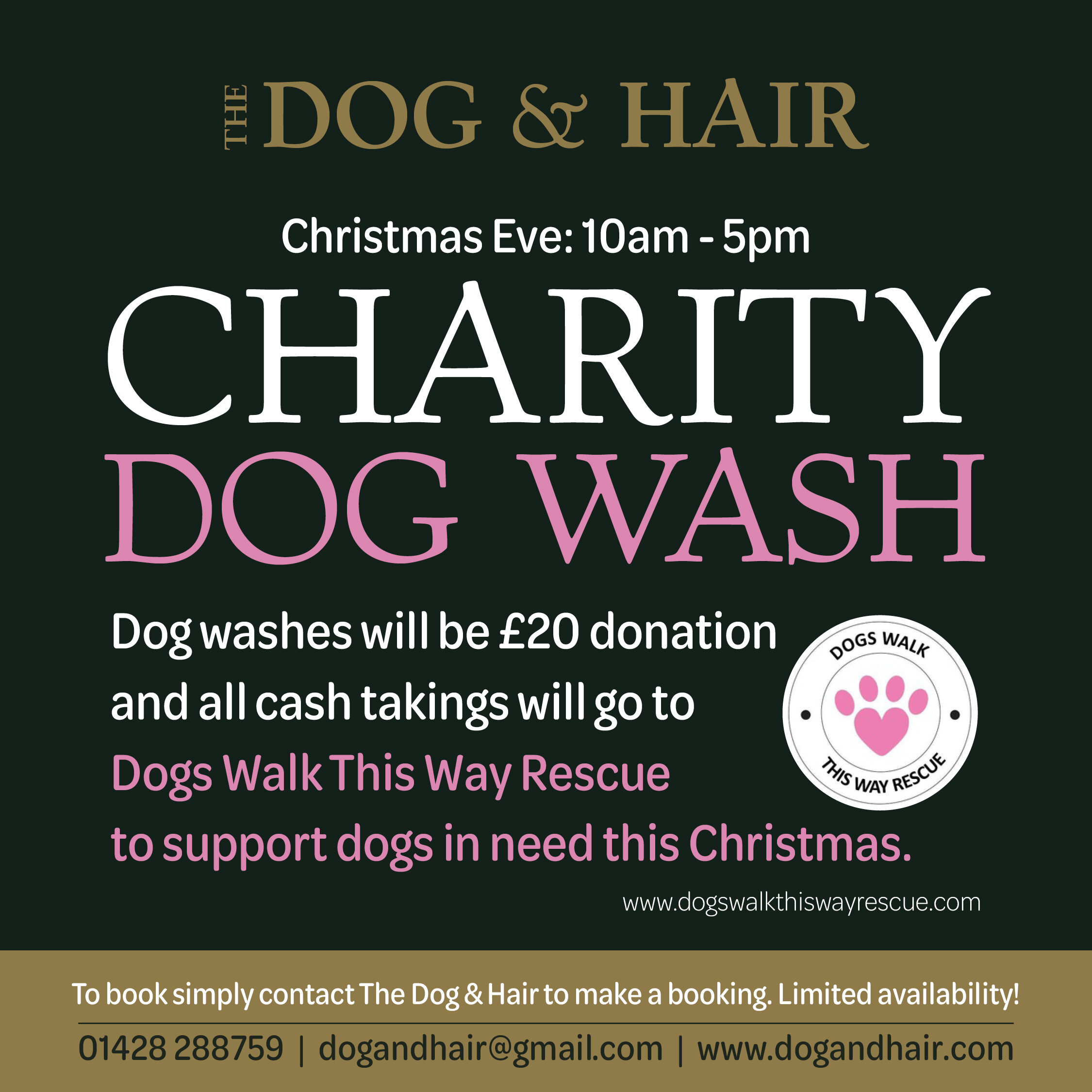 Dog & Hair- Instagram_Charity dog wash-Dec19.jpg