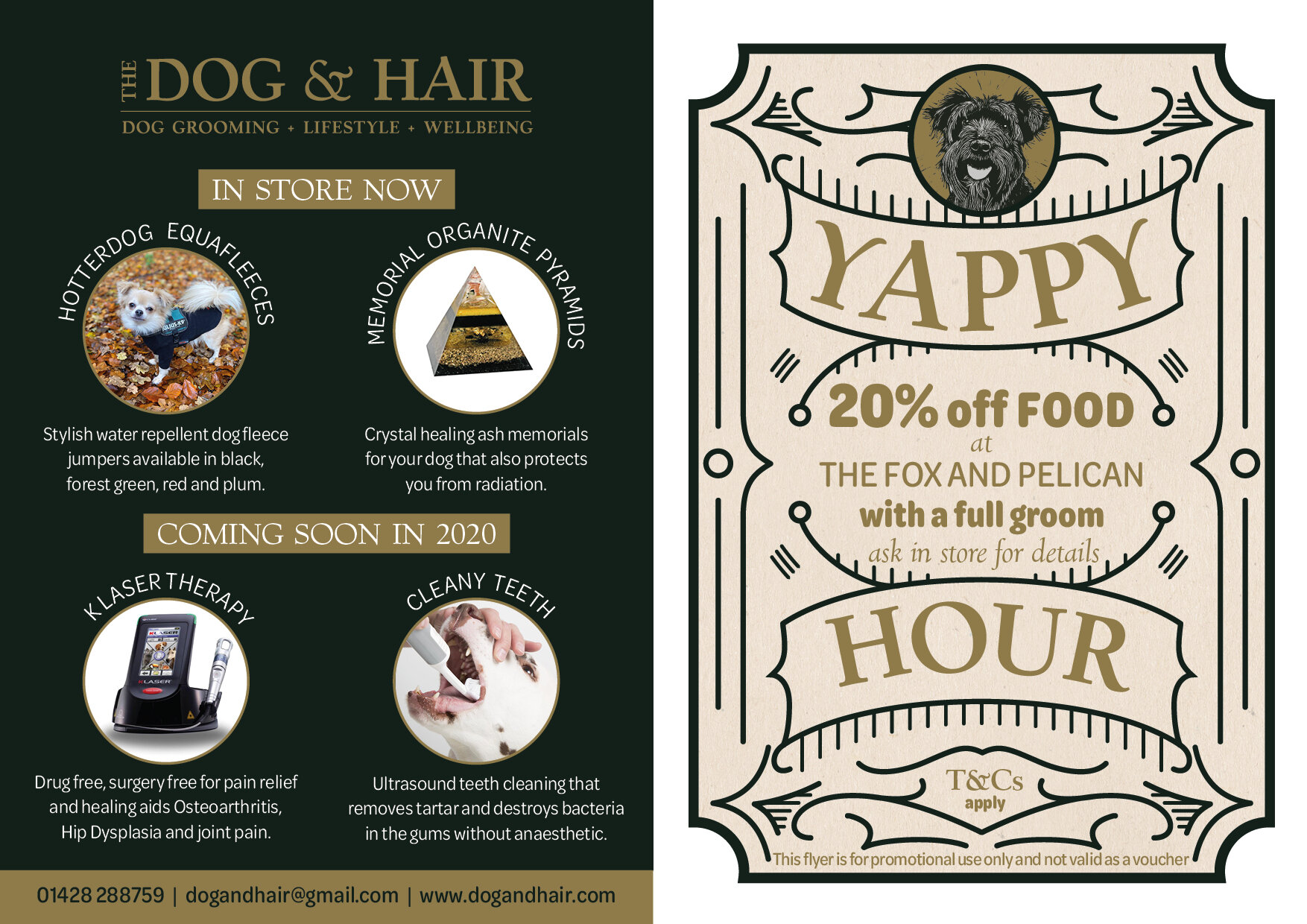 The Dog & Hair Flyer_Back Dec 19.jpg