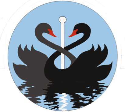 Black Swan First Aid Training