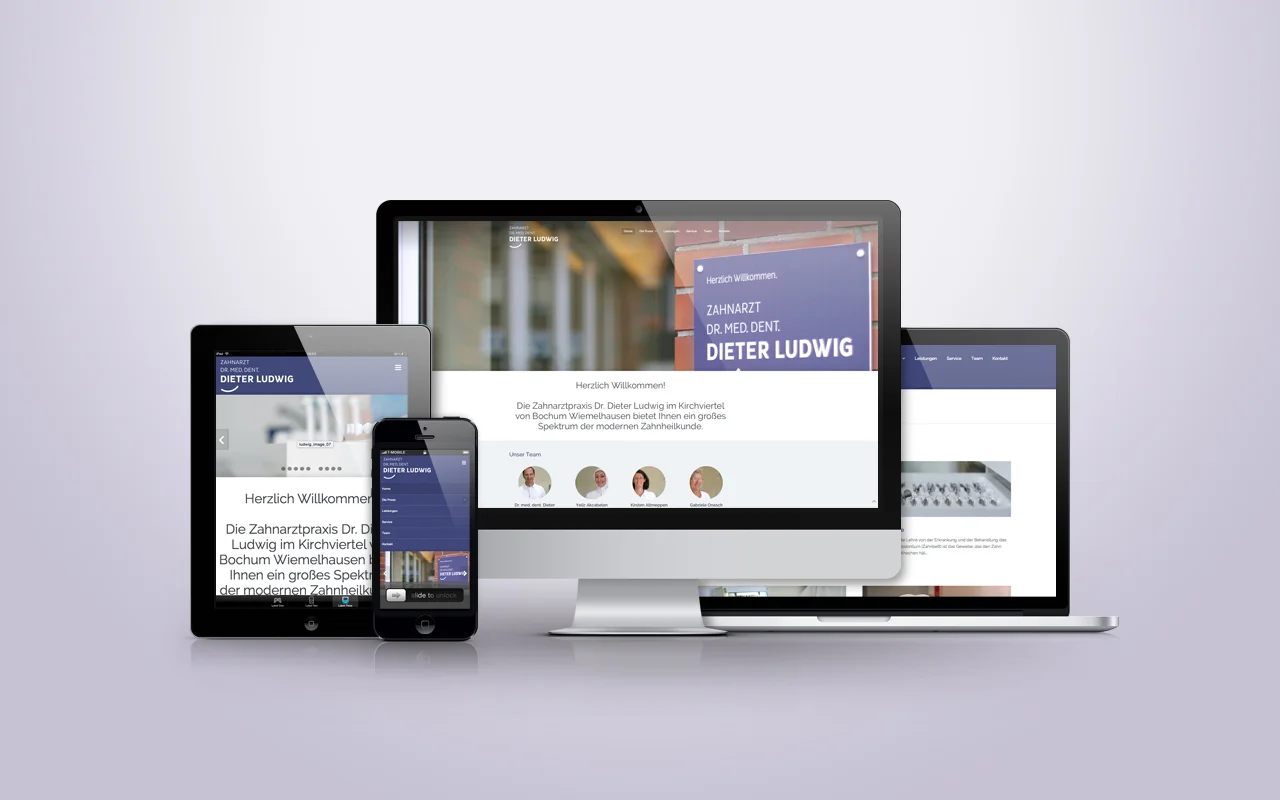 ludwig_responsive.jpg