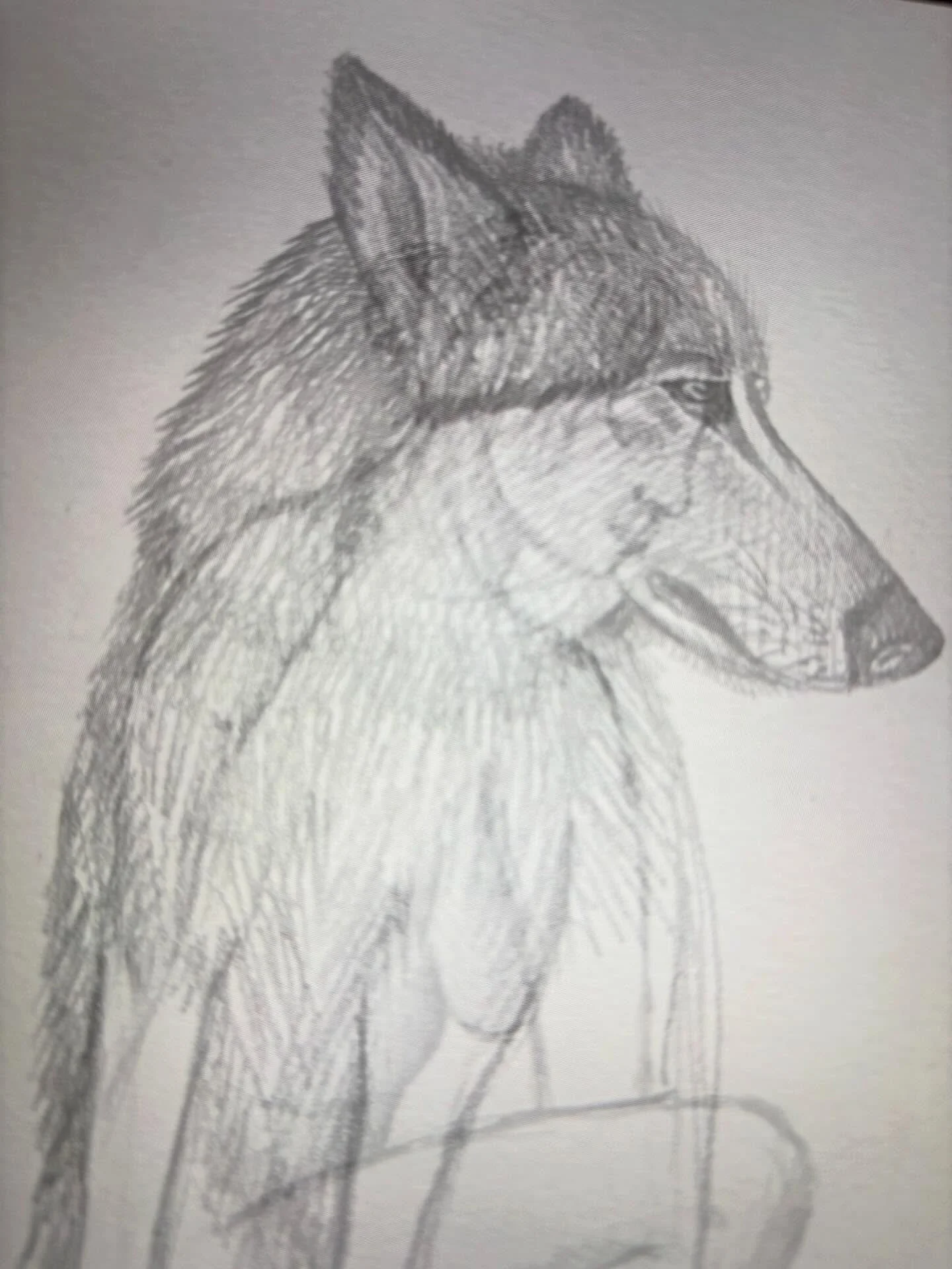 A wolf in progress 🐺

#oracledeck #wildwomen #wildwolf #innerwolf