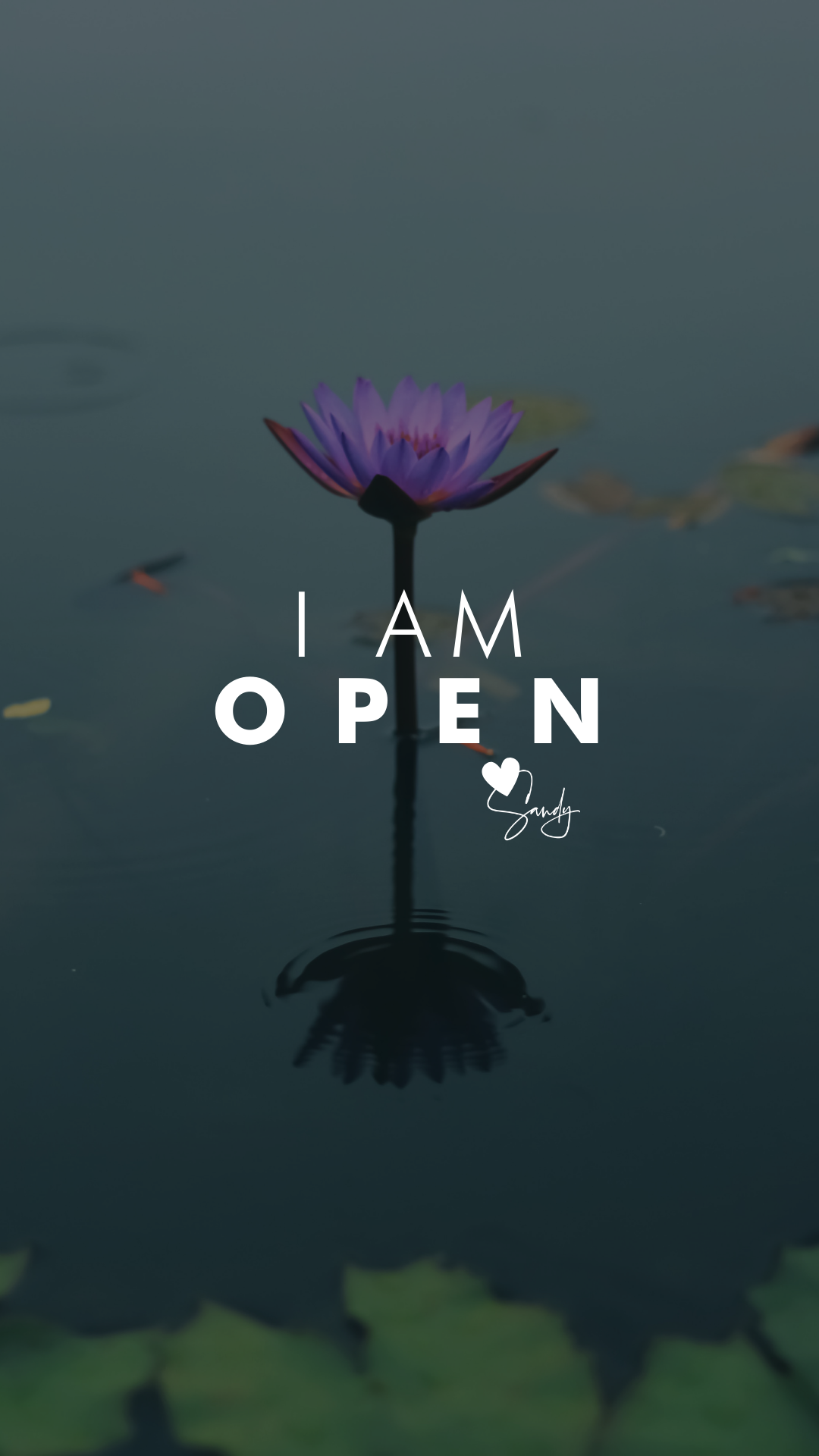 Inspired by Body Calm