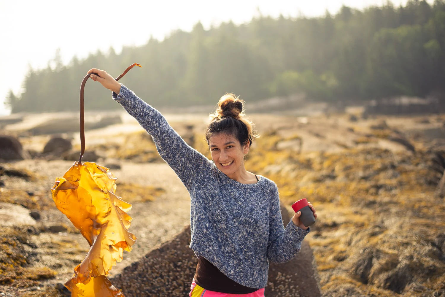 blade of sugar kelp washed up on buckle island (photo by torrey utne)