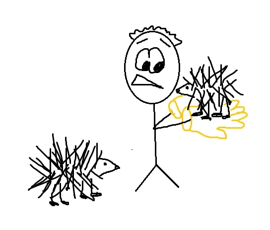 Boy or Girl? How to Tell...