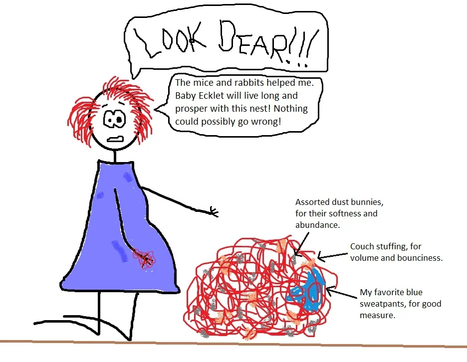 A Nesting Rabbit: Some Pregnancy Thoughts