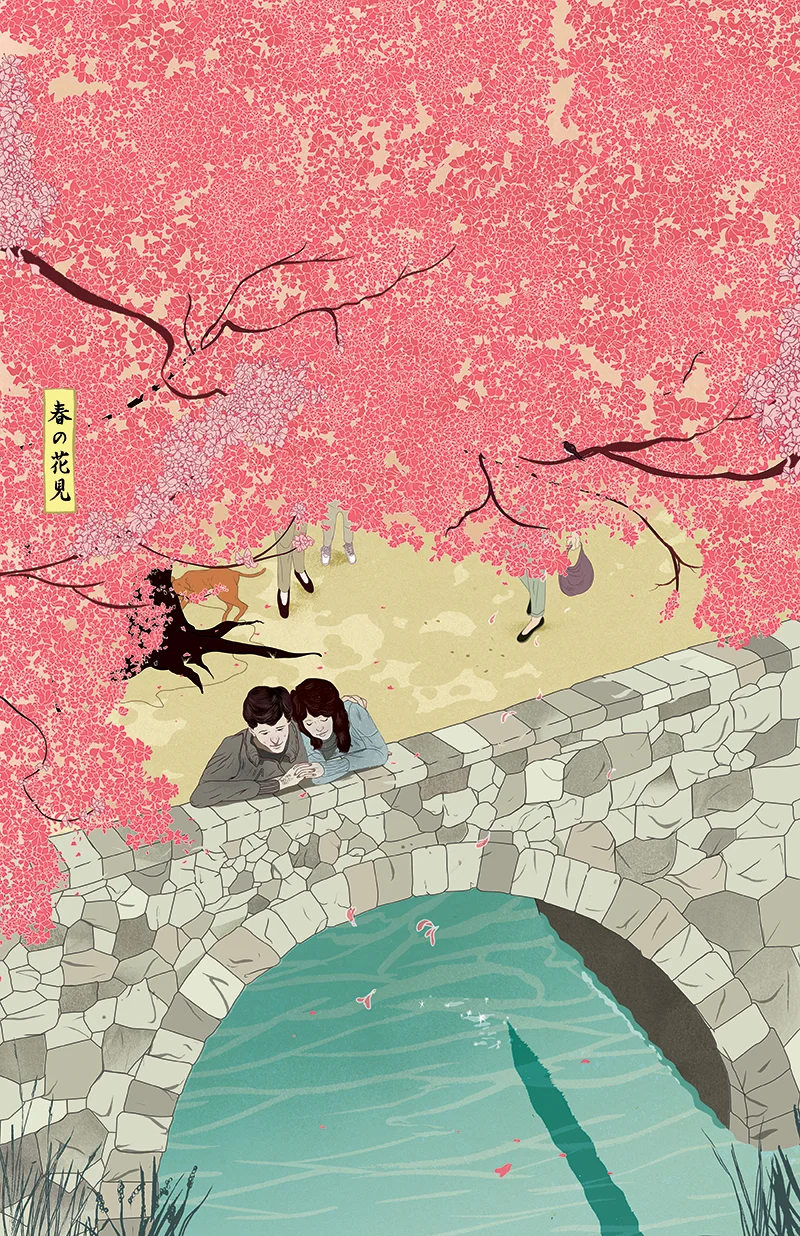Flower Watching In Spring
