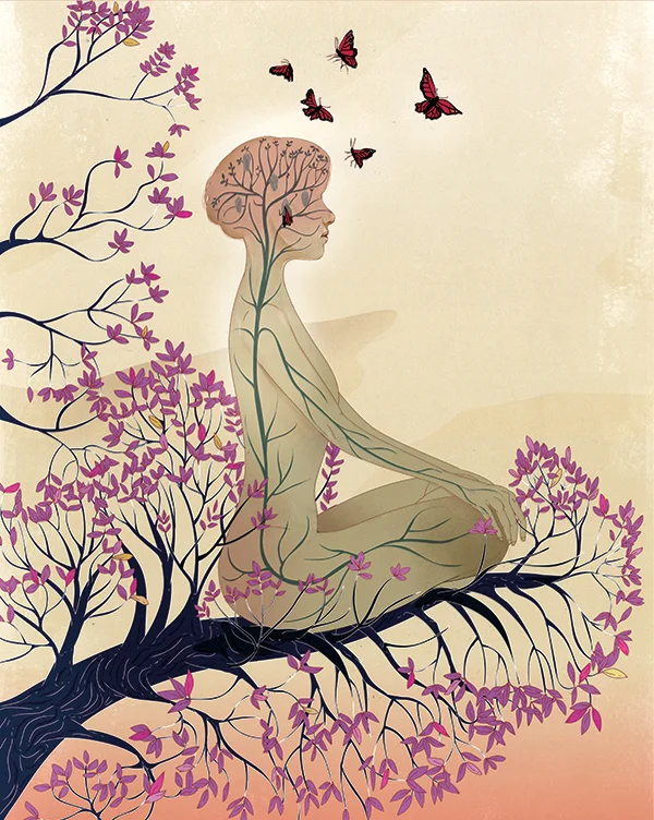 Inside the Mind of a Meditator