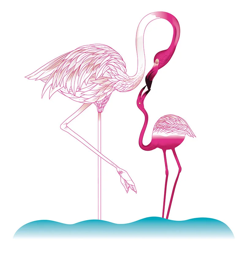 marcoschin-illos-nyt-flamingo.jpg