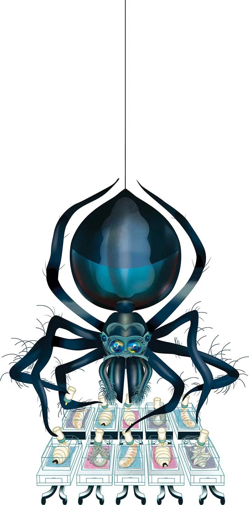 marcoschin-illos-nyt-spider.jpg