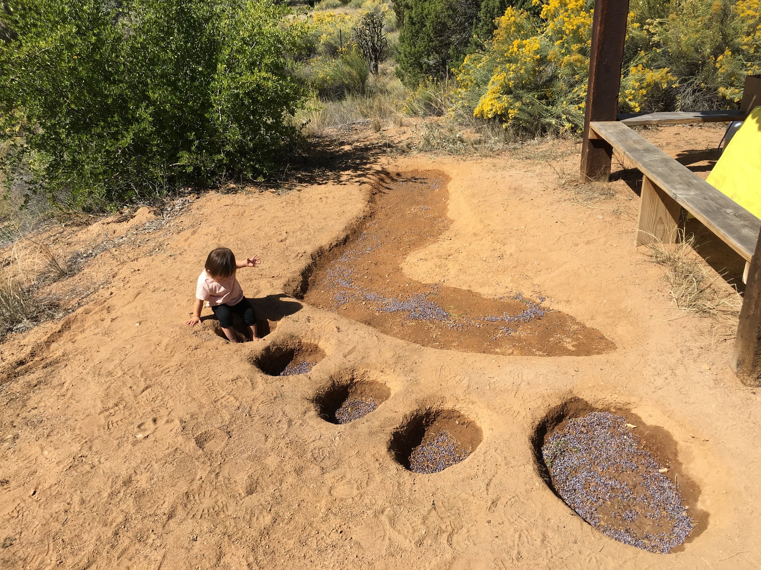 Willis, Joshua, "Impact: A Bigfoot, Sasquatch, Yeti Sighting," part of "Wilderness Acts," A production of Axle Contemporary & The Santa Fe Botanical Garden, 2016   