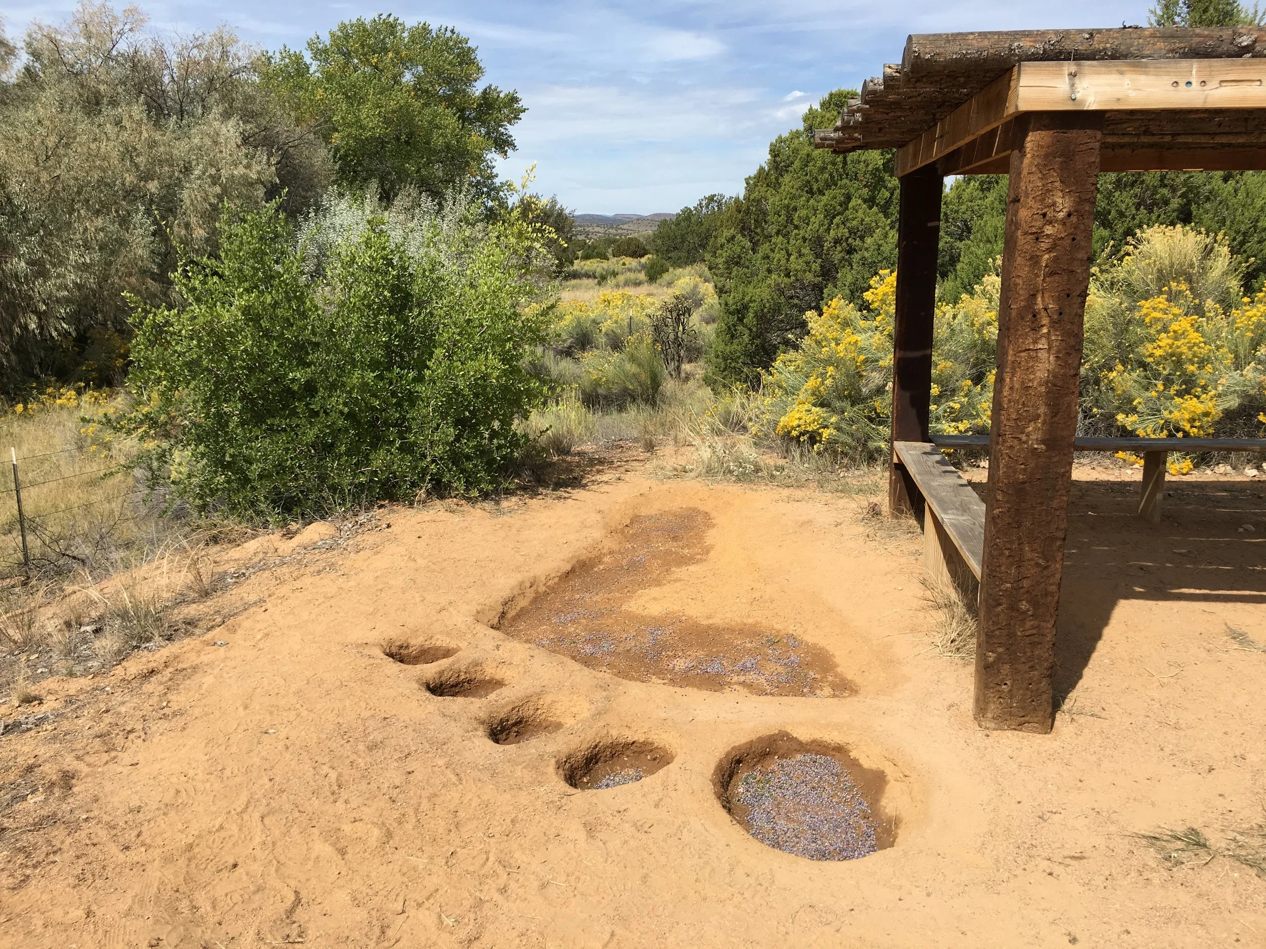 Willis, Joshua, "Impact: A Bigfoot, Sasquatch, Yeti Sighting"