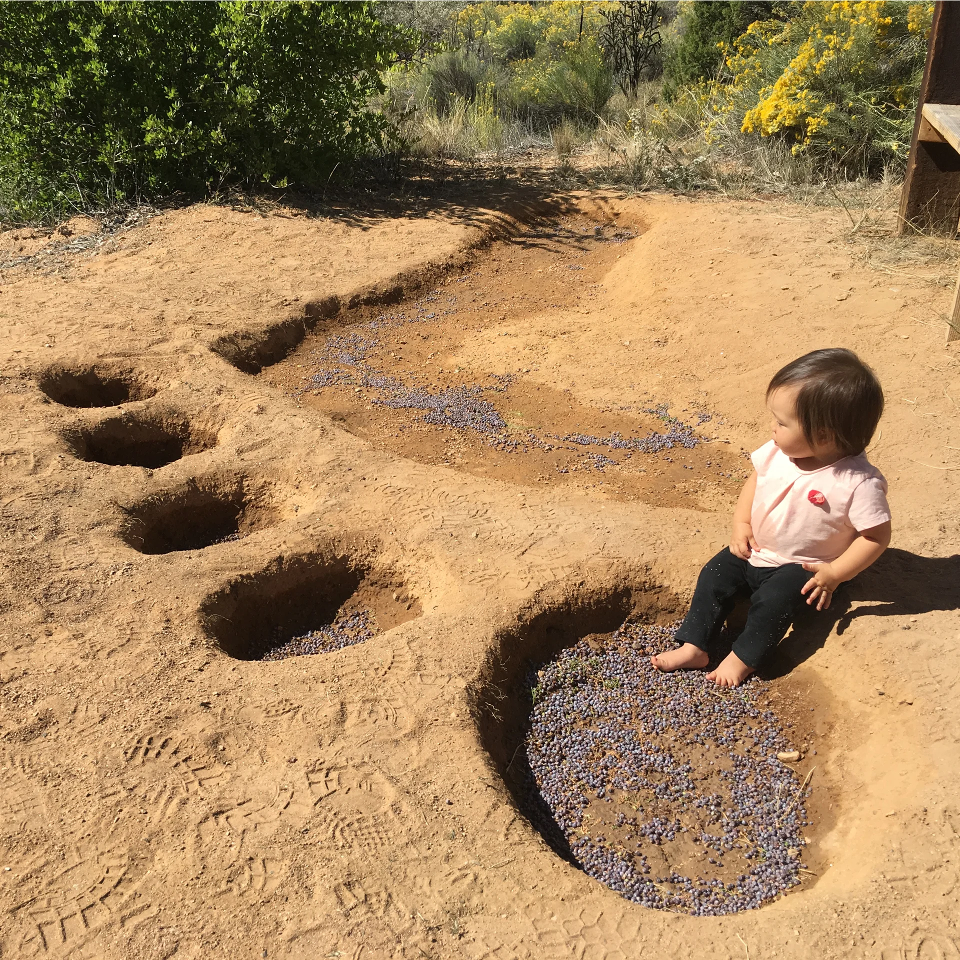 Willis, Joshua, "Impact (a Sasquatch, Yeti, Bigfoot Sighting)," A Land Art work, 2016