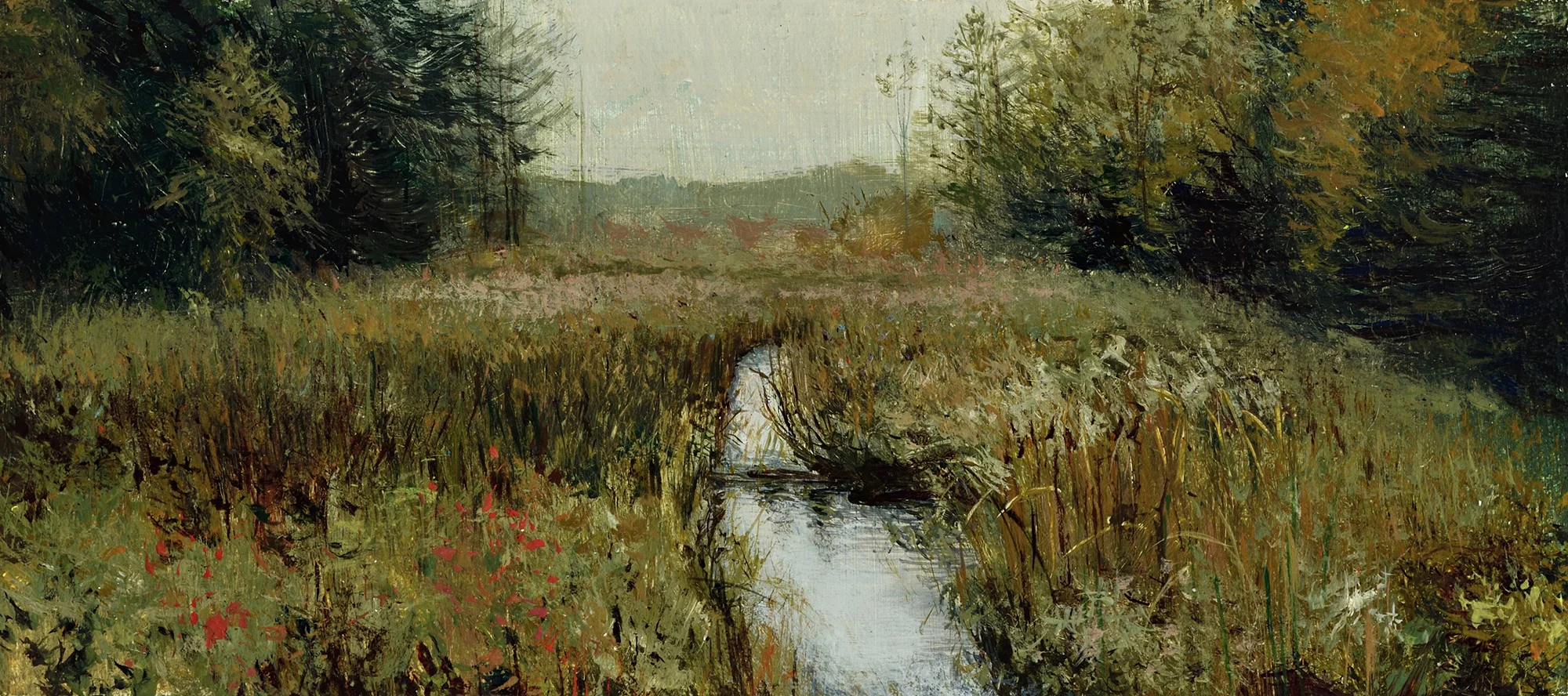 Tracy's Swamp, Cornwall
