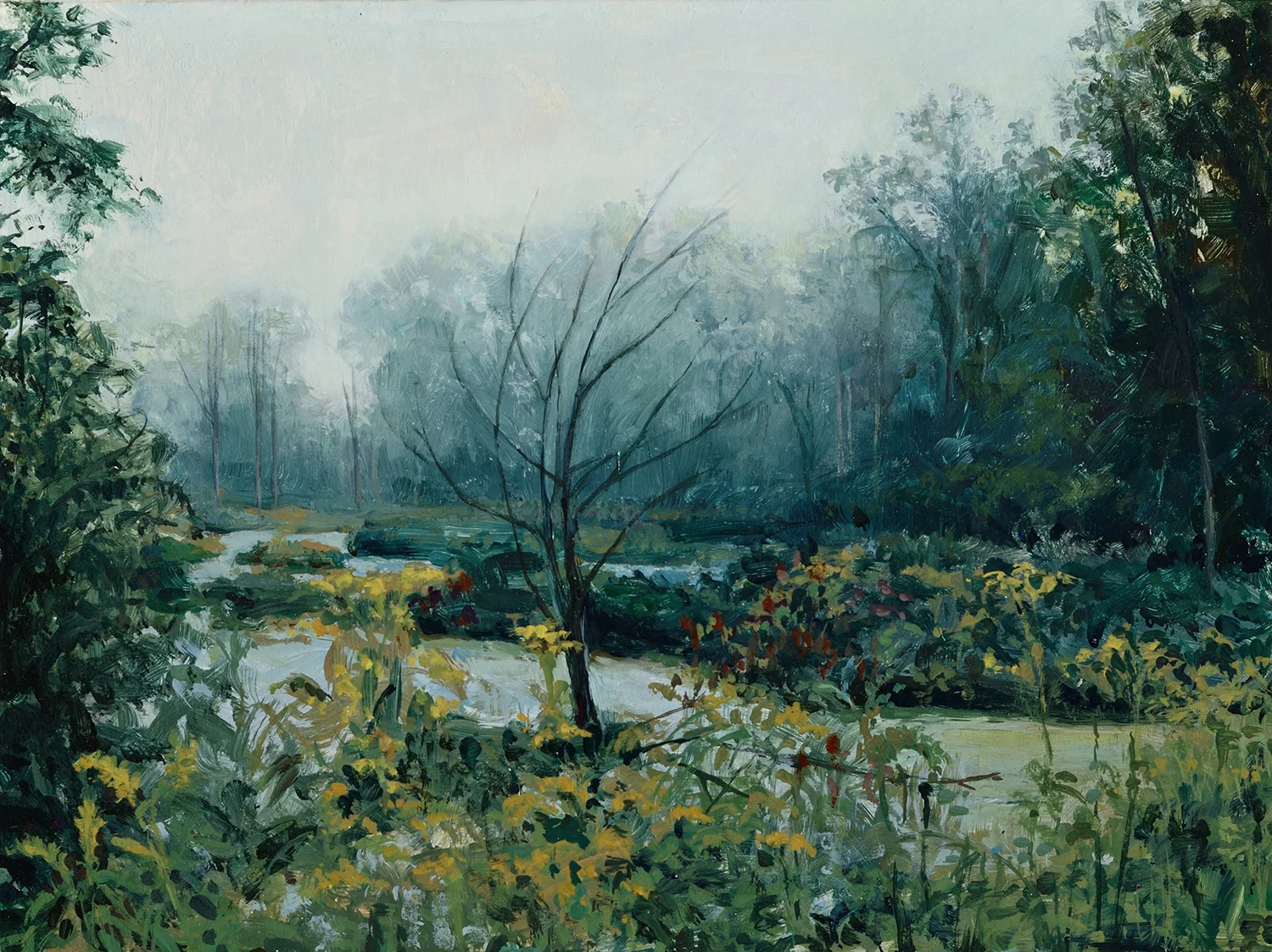 Swamp 3 (Hurricane Irene)