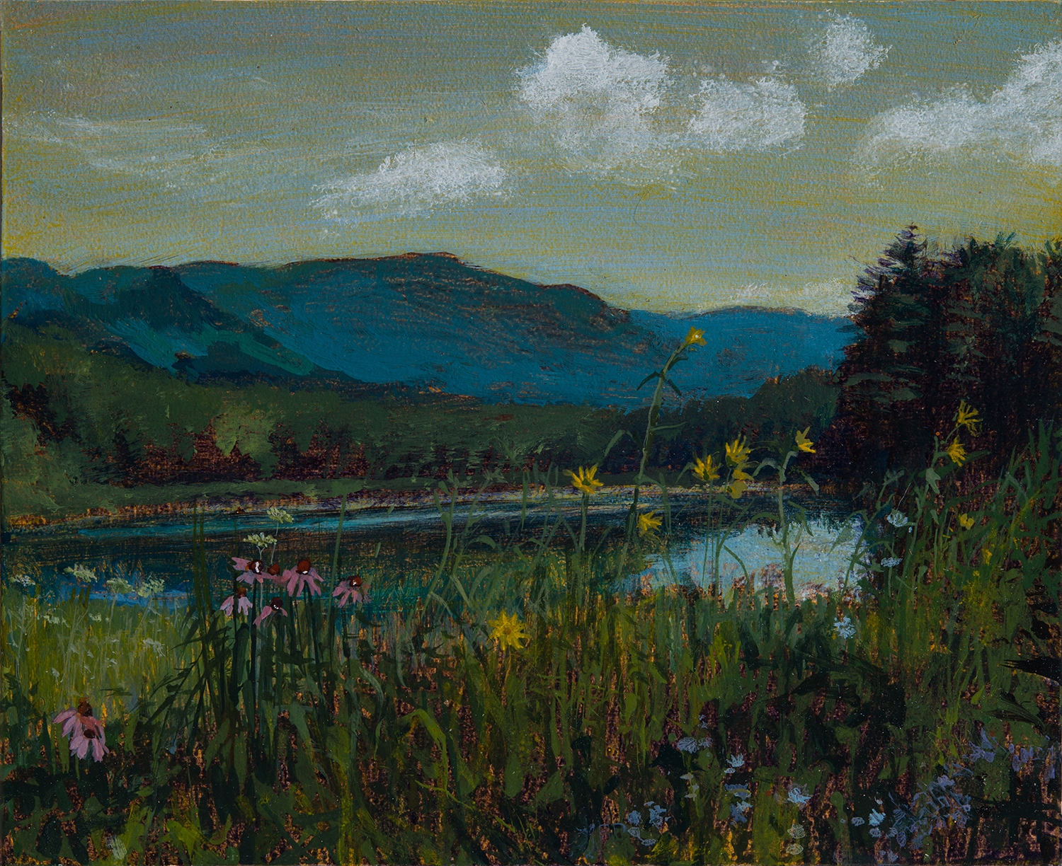 Beaver Dam Road