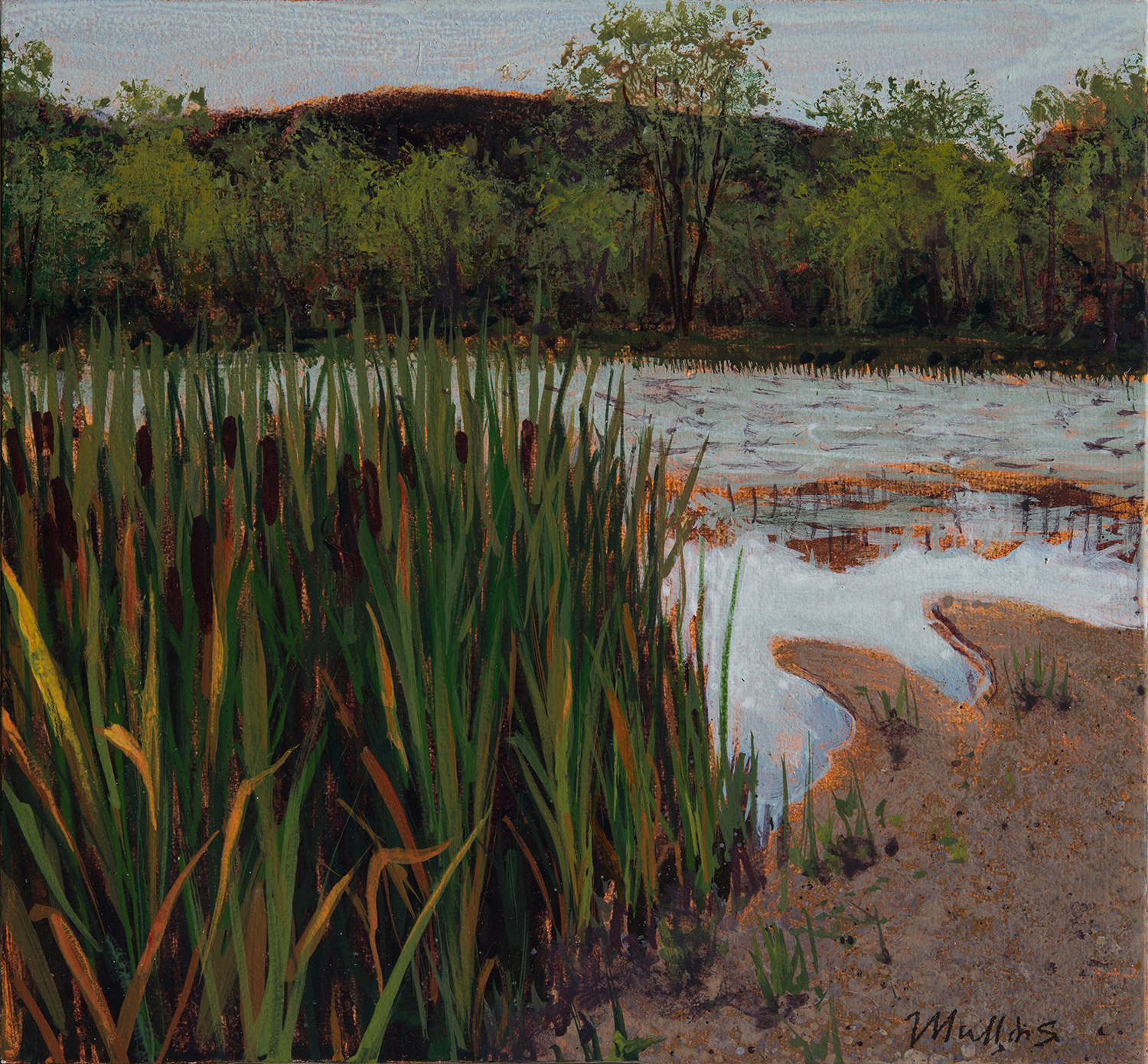 Cattails, Silver Lake