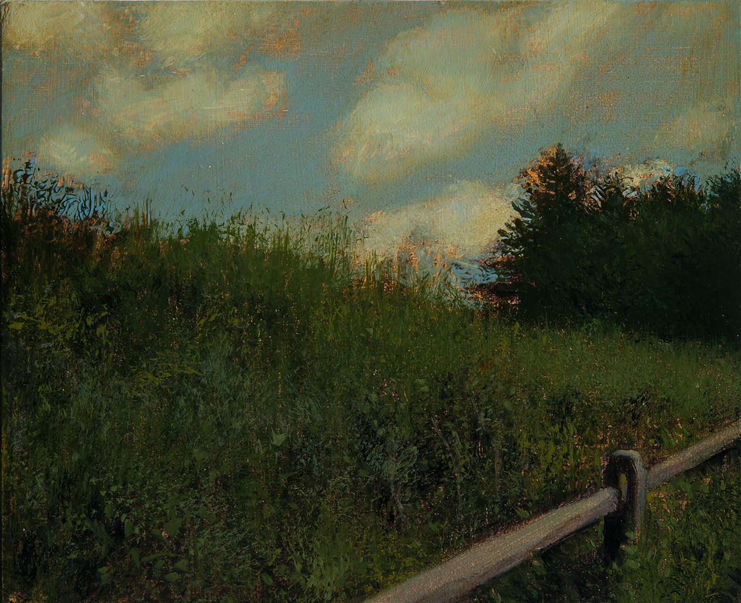 Split Rail