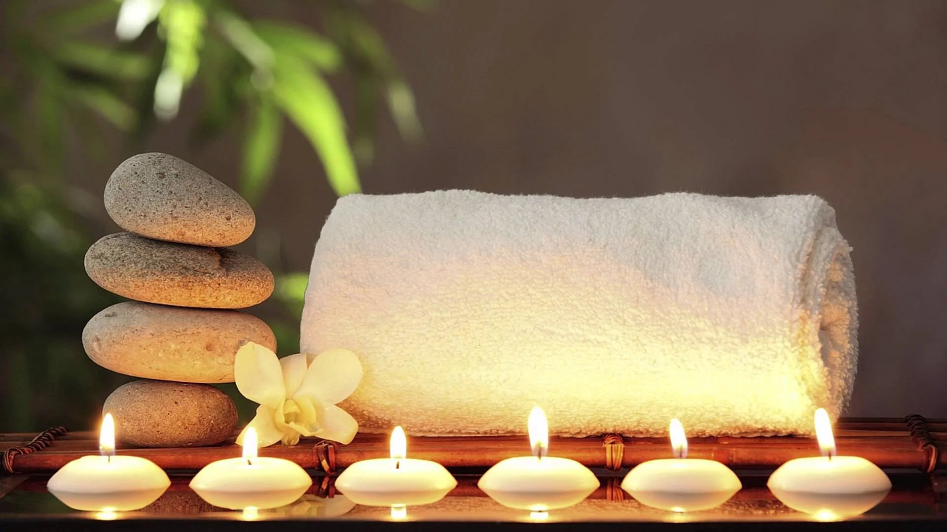 massage parlour