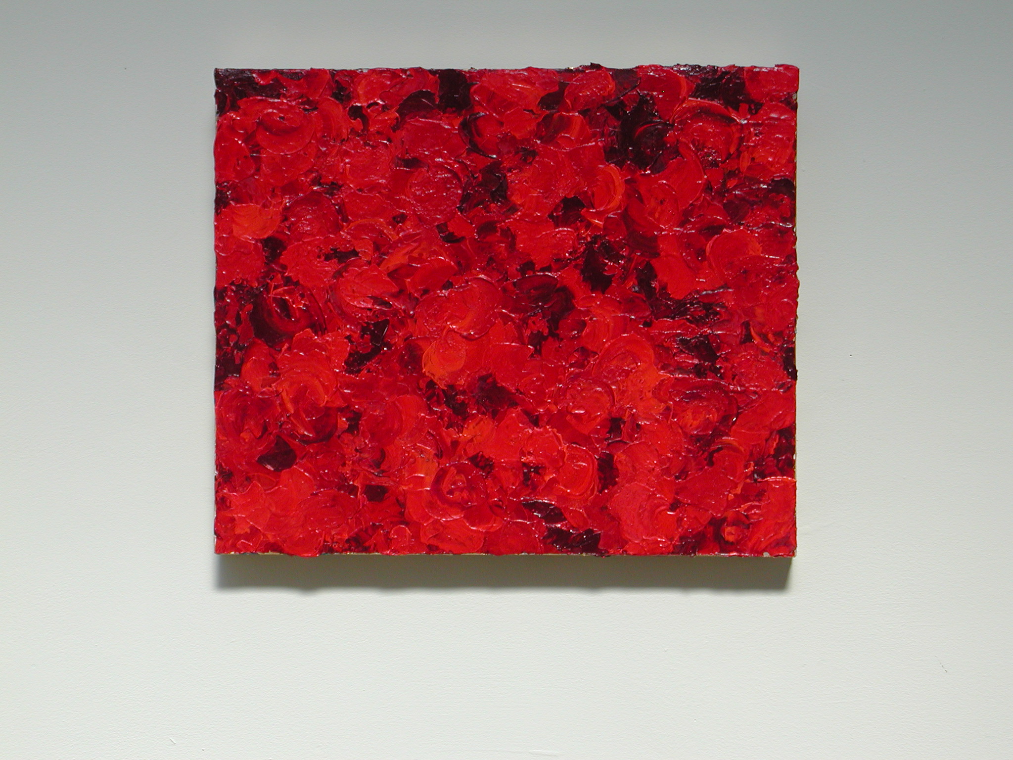 50x60cm.JPG
