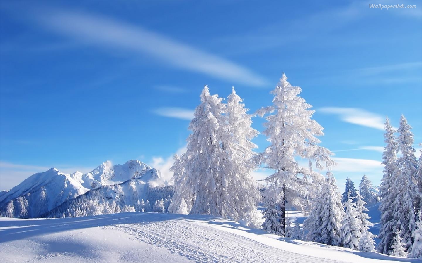 winter-landscape-for-free_489991.jpg