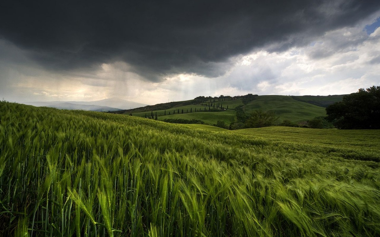 rain_is_coming_wallpaper_landscape_nature_wallpaper_1280_800_widescreen_1652.jpg