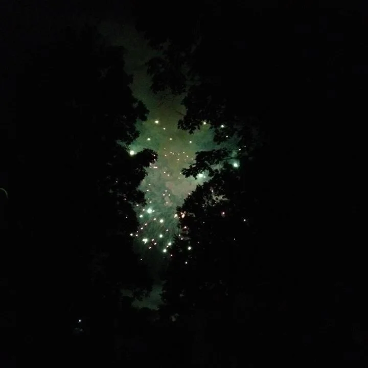 image1.JPG
