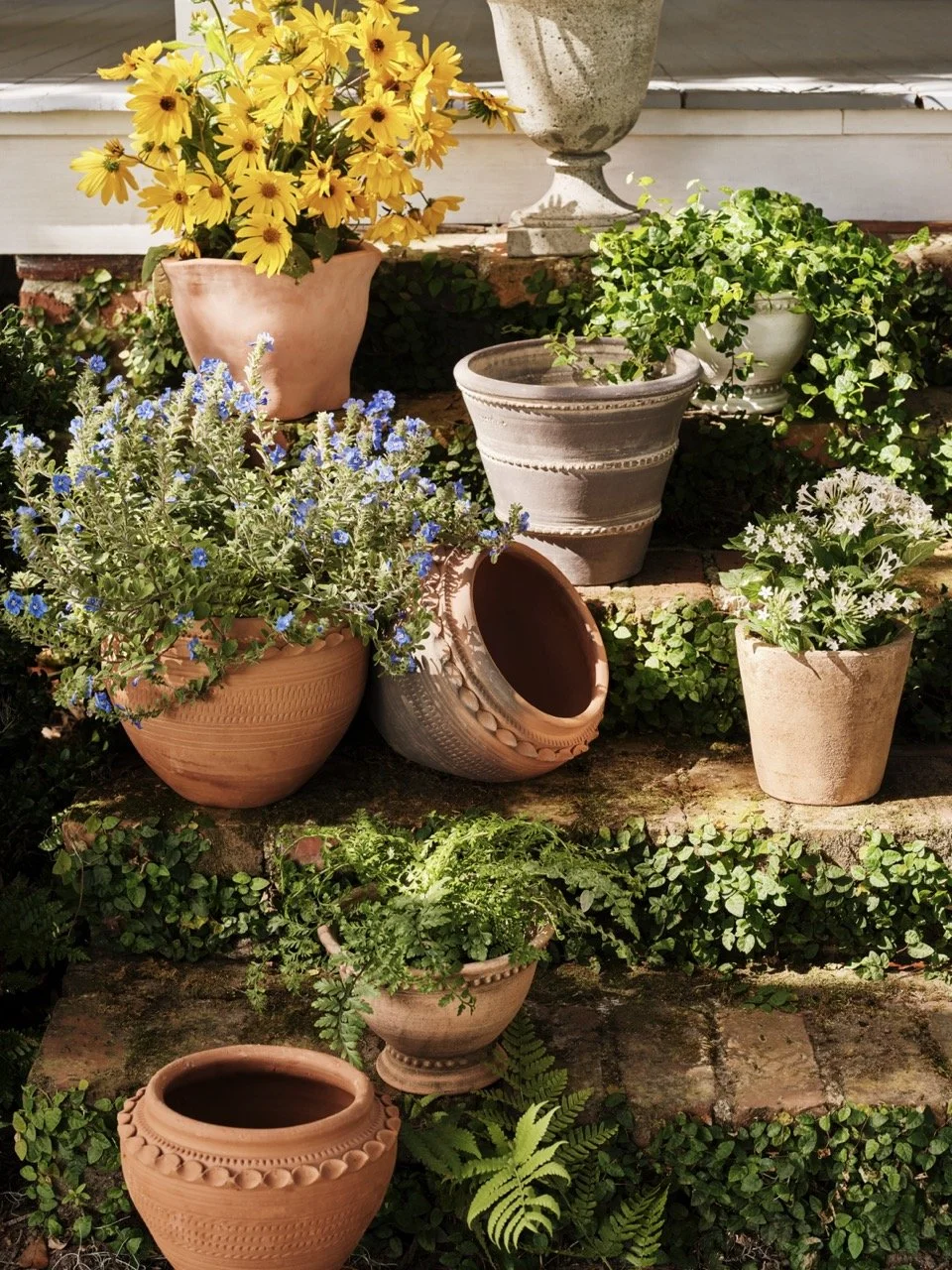 2024_BL_Spring_BL002541 Large.jpeg