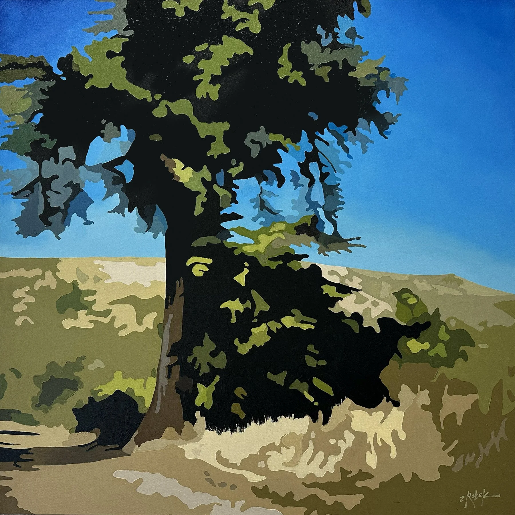 Headlands Trail